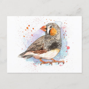 Zebra Finch Vykort