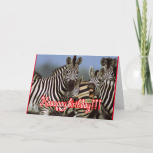 zebra-födelsedag kort