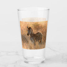 Zebra-folie på morgonen