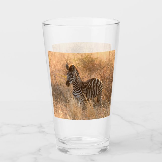 Zebra-folie på morgonen glaskopp (Framsida)