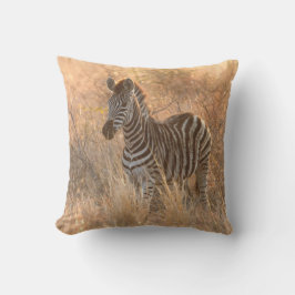 Zebra-folie på morgonen kudde