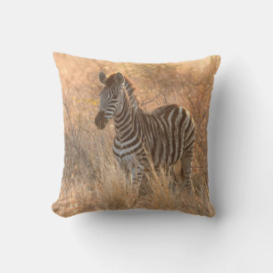 Zebra-folie på morgonen kudde