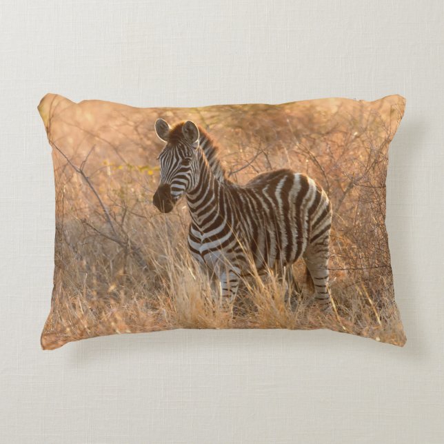 Zebra-folie på morgonen prydnadskudde (Framsidan)