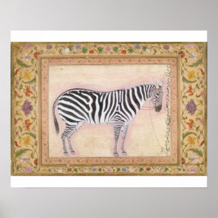 Zebra, från Minto Album, 1621 (gouache på pa pa Poster