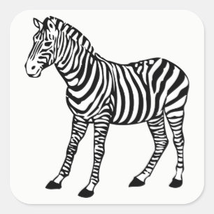 zebra fyrkantigt klistermärke