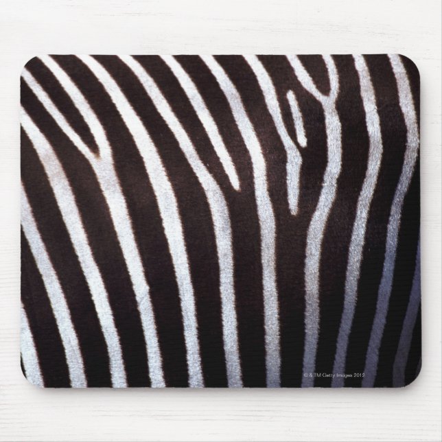 zebra-göm musmatta (Framsidan)