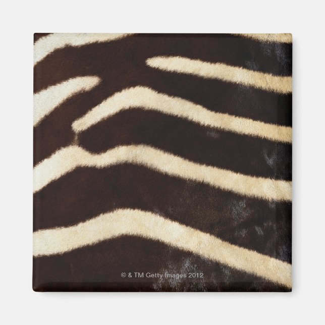 Zebra Gömmer Magnet (Framsidan)