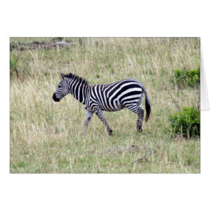 zebra-gräs hälsningskort