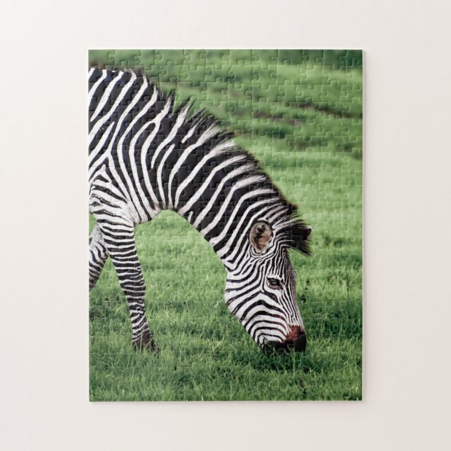 Zebra Grazing Jigszle Puzzle Pussel (Vertikal)
