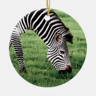 Zebra Grazing Julgransprydnad Keramik