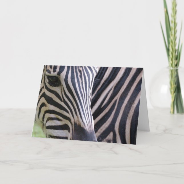 Zebra Greeting Card Kort (Framsida)