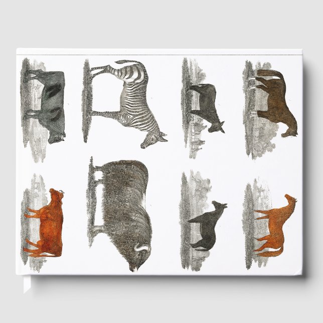 Zebra - Hästar - Cow Kids Gift Gästböcker (Framsida)