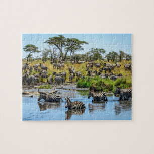 Zebra Herd i Vilden Jigszons Puzzle Pussel