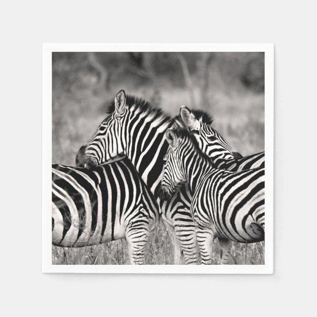Zebra Herd Nature Safari Black and White Rand Pappersservett (Framsidan)