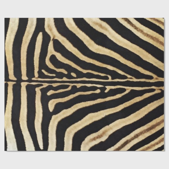 Zebra Hyde Decoupage Poster Presentpapper (Platt)