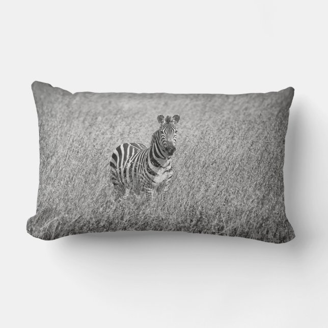 Zebra i högt gräs lumbarkudde (Framsida)