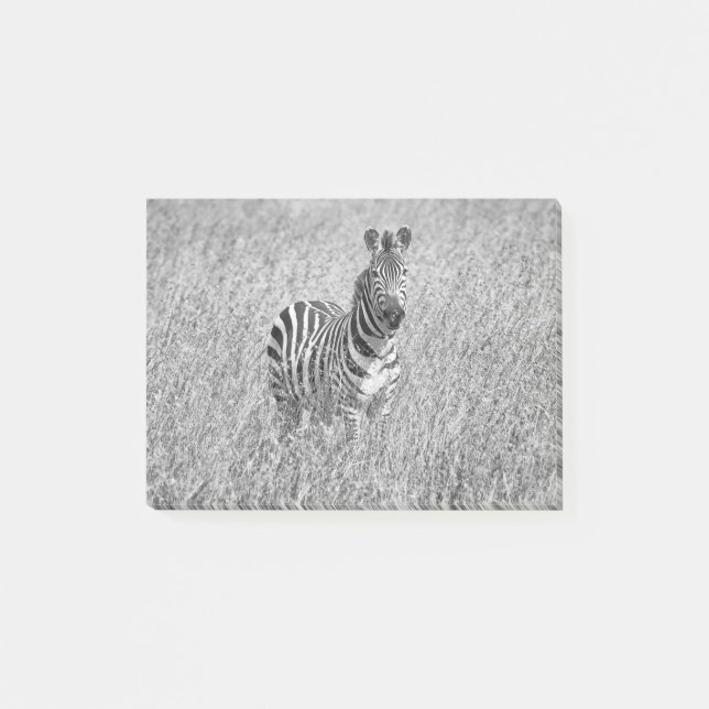 Zebra i högt gräs post-it block (Framsida)