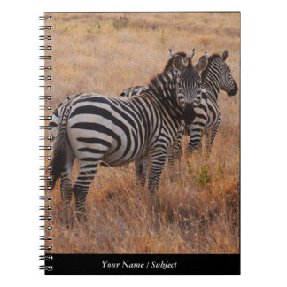 Zebra i Kenya Anteckningsbok