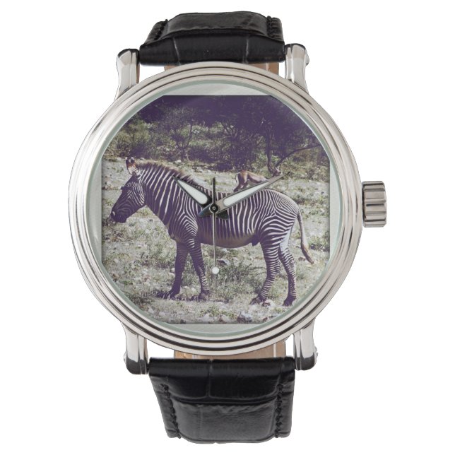 Zebra i Kenya Armbandsur (Framsida)