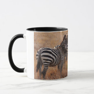 Zebra i Kenya Mugg