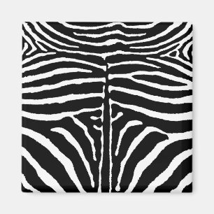 Zebra i Svarta och vita Magnet