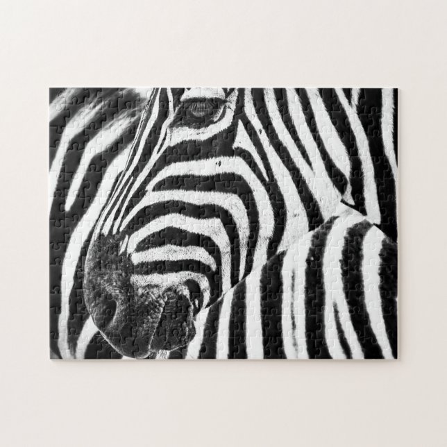 Zebra i svartvitt, Jigszawa Puzzle Pussel (Horisontell)