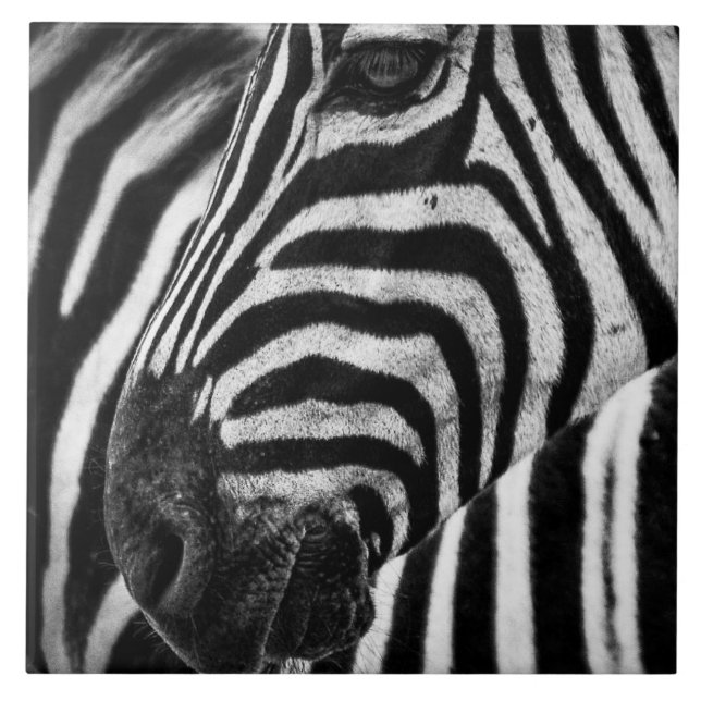 Zebra Illusion Kakelplatta (Framsidan)