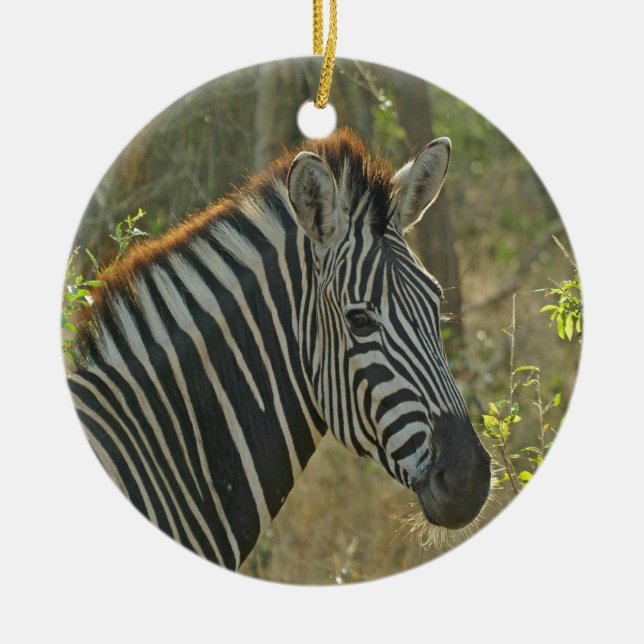 Zebra Julgransprydnad Keramik (Framsidan)