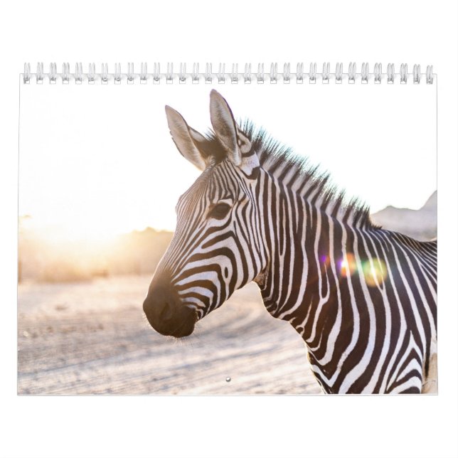 Zebra Kalender (Omslag)