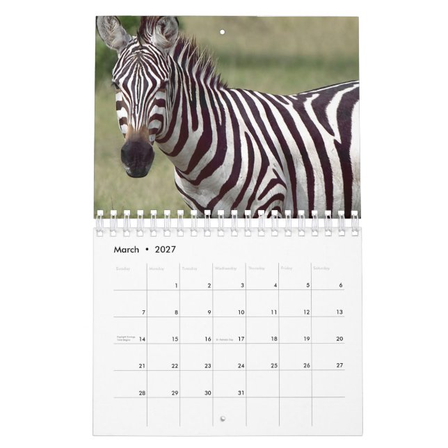 Zebra Kalender (Mar 2027)
