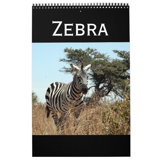 zebra kalender (Omslag)