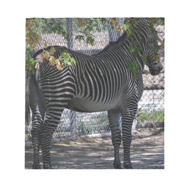 Zebra Kärlek Anteckningsblock (Framsida)