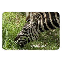 Zebra Kärlek...Magnet