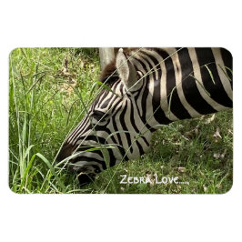 Zebra Kärlek...Magnet Magnet