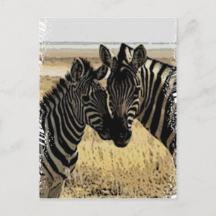 ZEBRA KÄRLEK VYKORT
