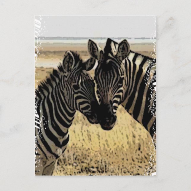 ZEBRA KÄRLEK VYKORT (Framsida)