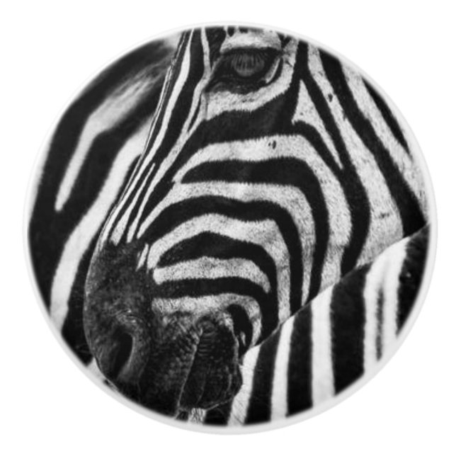 ZEBRA KNOPP (Framsidan)