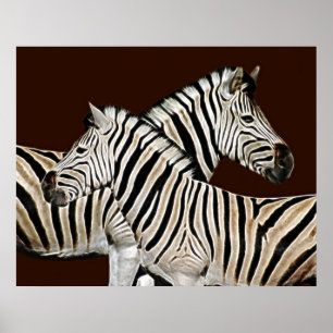 Zebra-korsning Poster