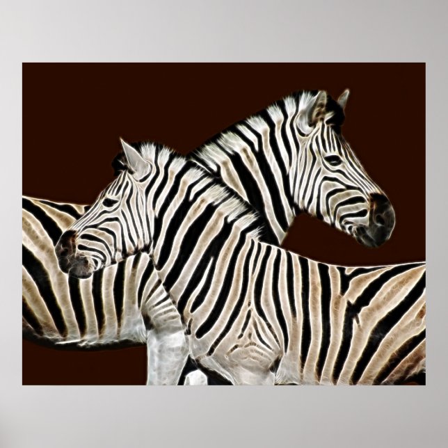 Zebra-korsning Poster (Framsidan)