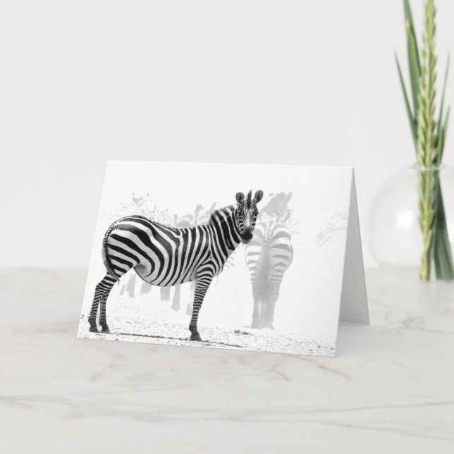 Zebra Kort (Framsida)