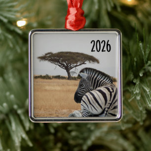 Zebra Liggande, Kenyansk Landskap, Acacia Träd Julgransprydnad Metall