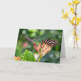 Zebra Longwing Butterflies, FL-kort Kort
