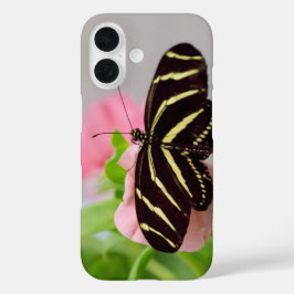 Zebra Longwing Butterfly