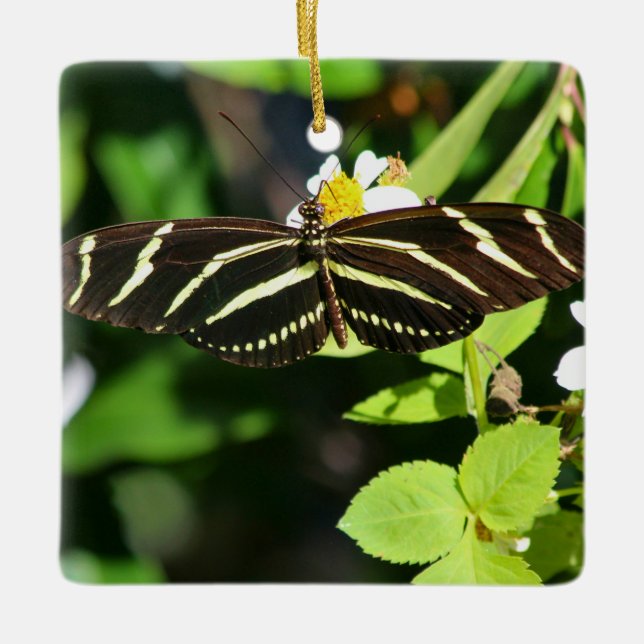 Zebra Longwing Butterfly Julgransprydnad Keramik (Framsida)