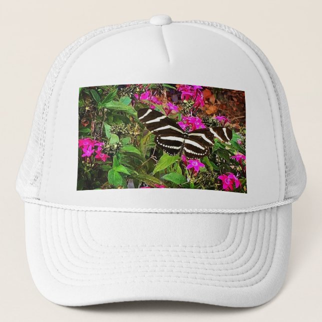 Zebra Longwing Butterfly Keps (Framsida)