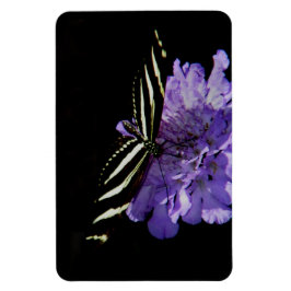 Zebra Longwing Butterfly Magnet