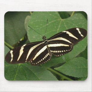 Zebra Longwing Butterfly Mousepad Musmatta