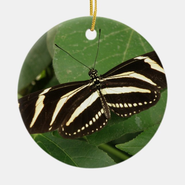 Zebra Longwing Butterfly Ornament (Framsidan)