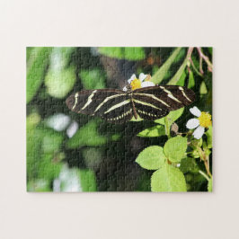 Zebra Longwing Butterfly Pussel