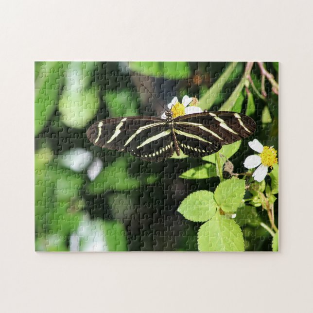 Zebra Longwing Butterfly Pussel (Horisontell)